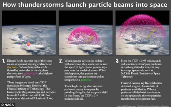 ����������β�����