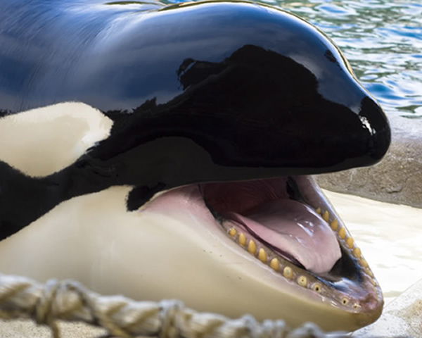 ����Я�������ײ���������ꪾ�����