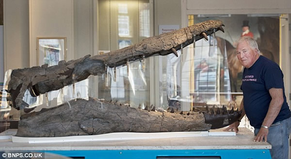 Ӣ����ʯ�ղؼһ���5��ʱ����ɾ���ʷǰ�������ж���ͷ�ǻ�ʯ�޸�����