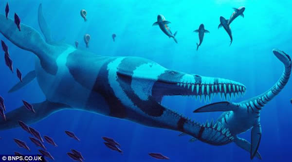 ����ʷǰ�������ж�����������ͼ