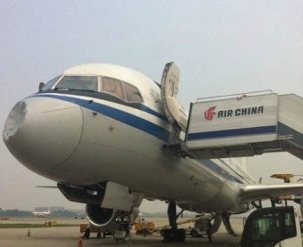 飞鸟撞扁国航机头