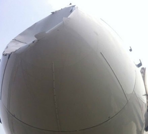 飞鸟撞扁国航机头