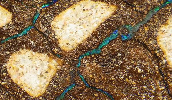 珍贵的蛋白石(猫眼石)呈细脉状分布于澳大利亚中部砂岩中。