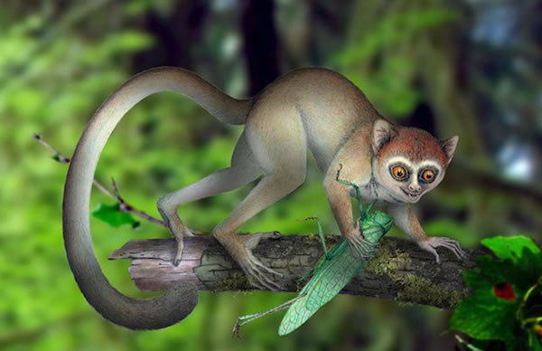 An artistic reconstruction of Archicebus achilles in its natural habitat of tree