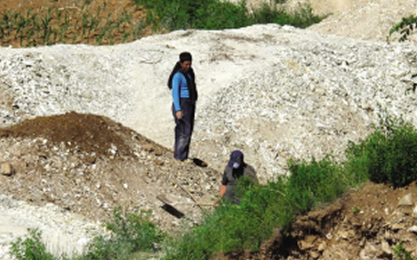 �����������ڵ��ڻ�ʯ