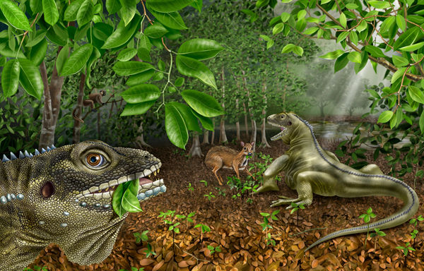 ��������Barbaturex morrisoni��ԭͼ