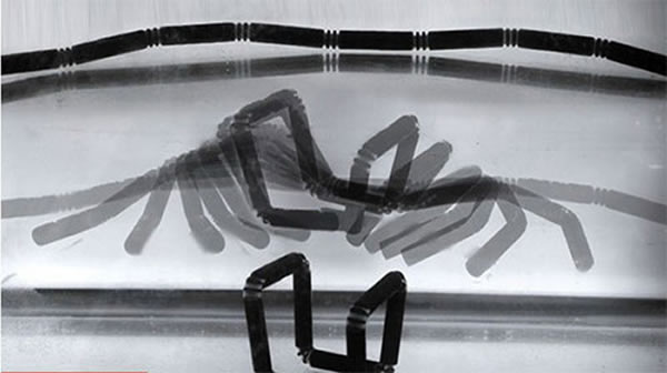 科学家最新研制的一种4D打印材料伴随外界环境条件变化而自变形