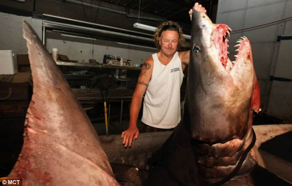 ��������׽�������������ܵ�����������ʿǿ��Ǵ��