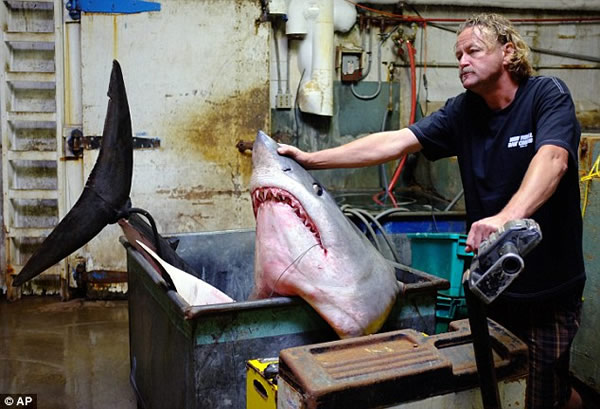 ��������׽�������������ܵ�����������ʿǿ��Ǵ��