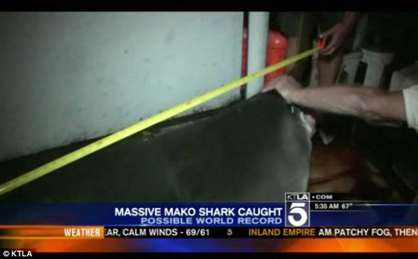 ��������׽�������������ܵ�����������ʿǿ��Ǵ��