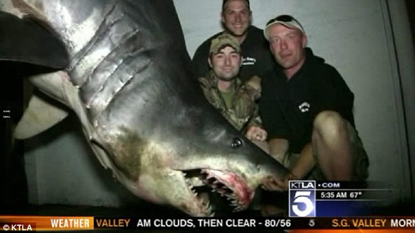 ��������׽�������������ܵ�����������ʿǿ��Ǵ��