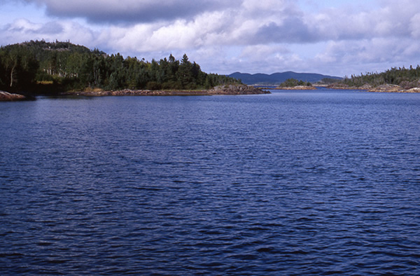 At the time the Norse journey took place, this area of the Notre Dame Bay coastl