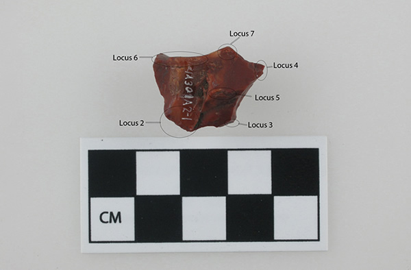 This jasper fire starter was found in 2008 only 33 feet (10 meters) away from a