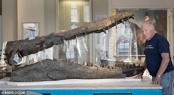 ���·��ֵ�Զ�ź��������ֱ���Ϊ����������������һλ��ʯ�����߻���5��ʱ���ռ����