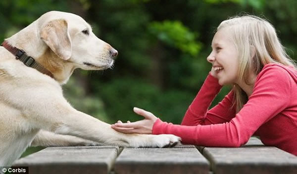 �������Ϊר�ҳƣ�δ��10���ڽ�ʵ�����������֮�����ʵ���Ի���