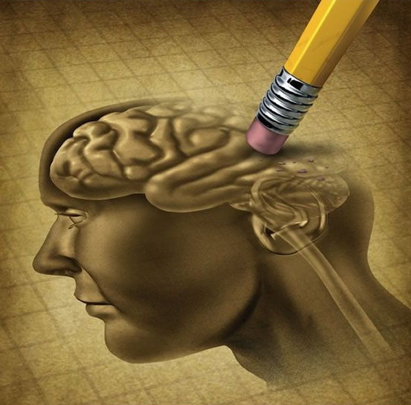 ������������ڷ����������ı仯��