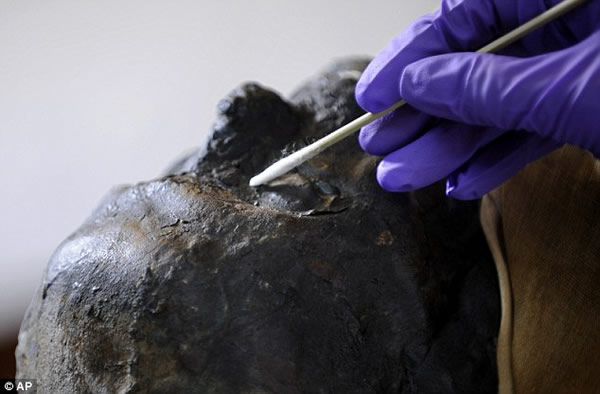 2500��ǰľ����������ϴ���޸�����