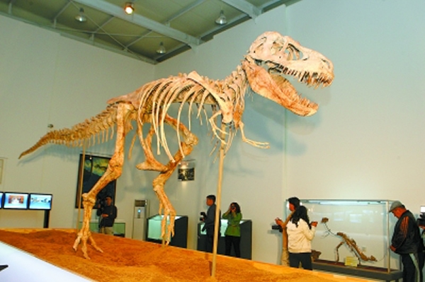 ��˽�������ġ���ʿ��������ʯ�ص��ɹŲ��״�����ڼ���