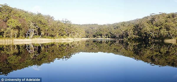 澳大利亚发现一座完全纯净晶莹剔透的湖泊