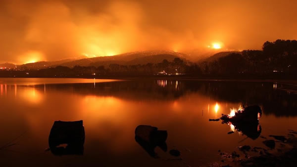 ����ɭ��