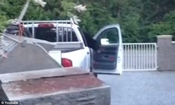 加拿大一只黑熊欲爬上汽车