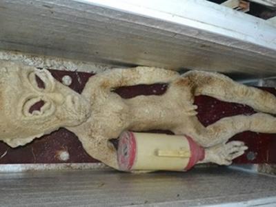 离奇的外星人相遇事件--Varginha案例 - 神秘的