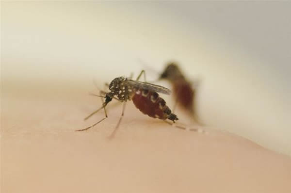 ������ѧ���з���һ����ֹ���Ӷ��˵ķ���