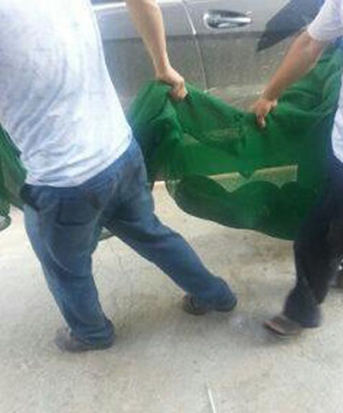 广东惠州3米长大蟒蛇山脚晒太阳被抓