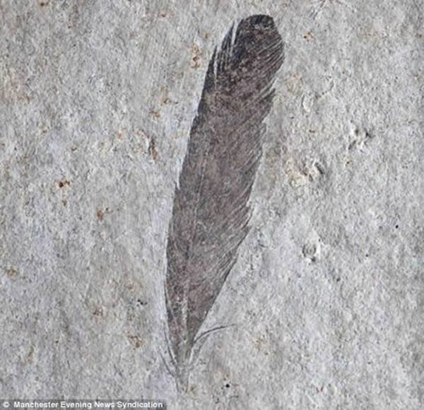 1.5ʼëʯоʼëǴǰΪȫʺɫ