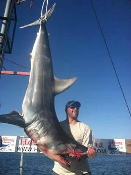 尖吻鲭鲨跳上船与人类搏斗2小时后中叉身亡