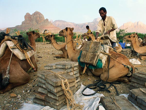 New research shows that geography can affect how language sounds.