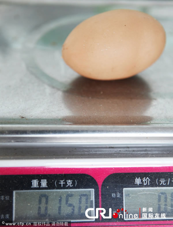 电子称上显示巨蛋有150克,而正常的鸡蛋只有50克。