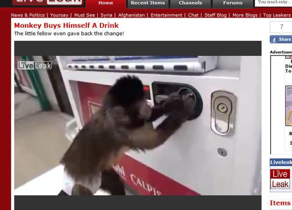 ��Ц������Ͷ��������