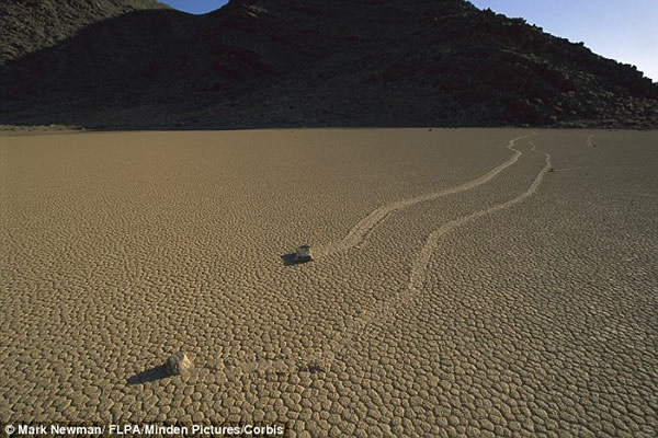 ����������������������ʯͷ����Ư��