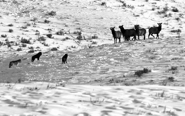 ���о�������¹��û�б�����ѹ�ȵ���ô����