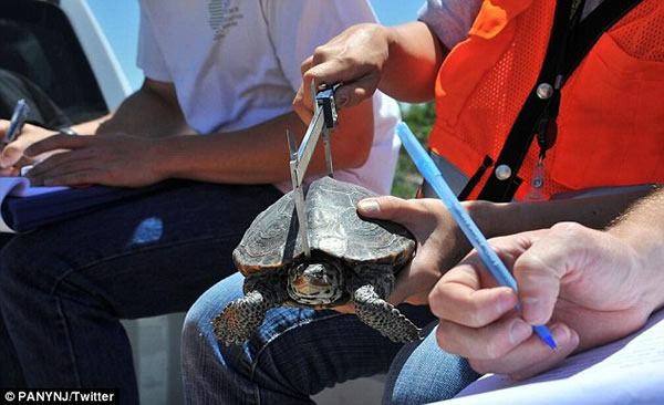 ����ŦԼ����ϻ��������������ڹ����ܵ�