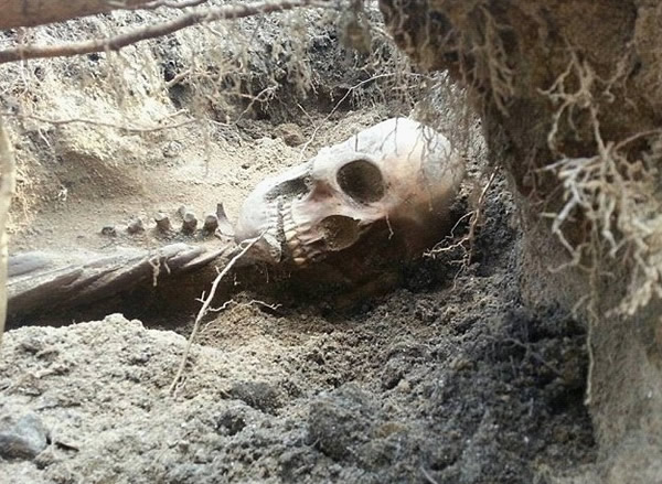 加拿大夫妇家中惊现400年前美洲土著女性古尸