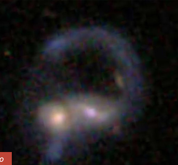 Is this the head, neck and front flipper of a cosmic Nessie?