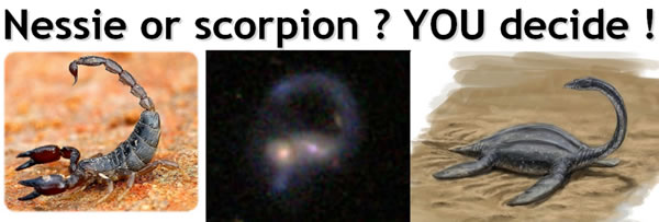 Sea monster or scorpion?