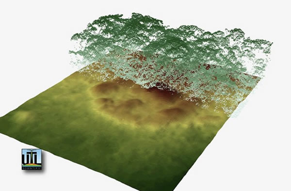 Lidar technology allows researchers to strip away the green forest canopy and re