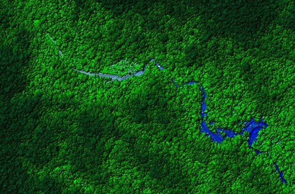 View of Honduras rainforest. Laser mapping scientists flew over a remote part of