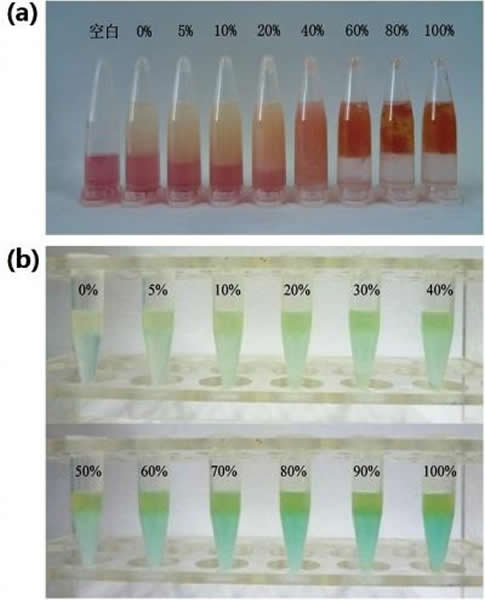 格林地沟油以不同比例掺入合格绿宝大豆油后检测效果图,百分数表示地沟油在合格大豆油中所占百分比 (a)纳米金探针检测效果图 (b)铜离子探针检测效果图。