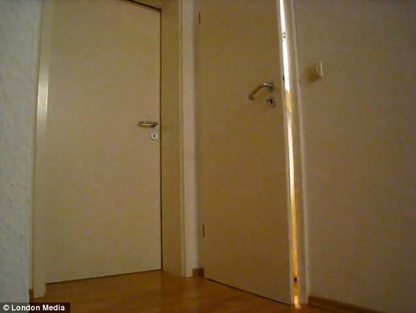 德国一条白化缅甸巨蟒竟然能够转动把手开门