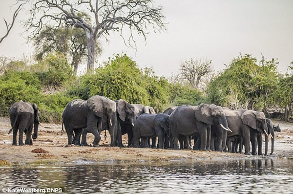 ������������Ǳˮ����