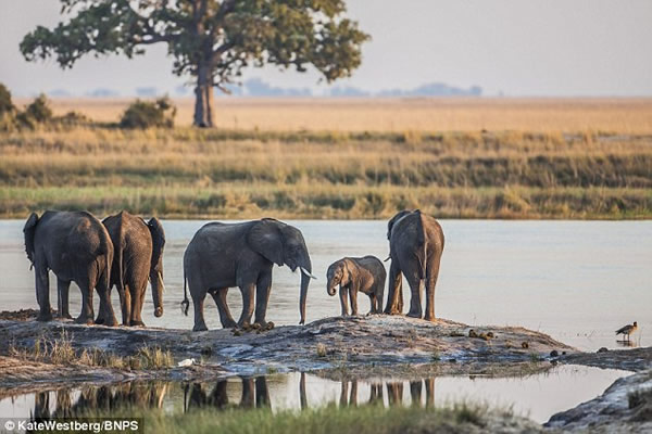 ������������Ǳˮ����