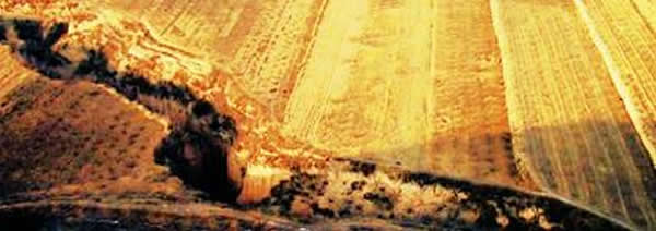 �������ַ