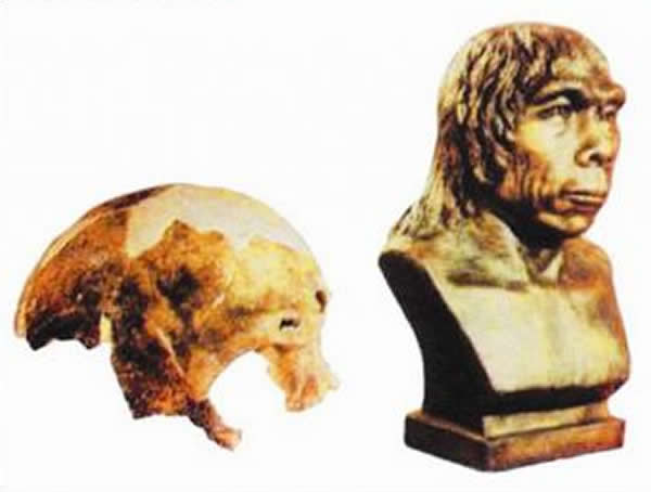 ������ͷ�ǹǻ�ʯ