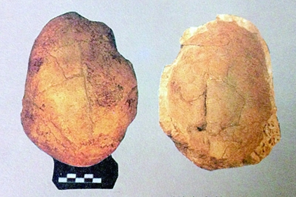 2��ͷ�ǵĶ��Ӻ�����