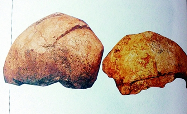 2��ͷ�ǵĲ���