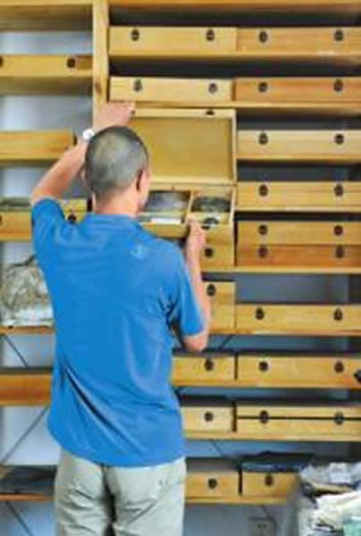 化石猎人收藏各类化石的展架